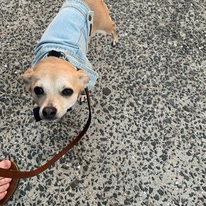 Meet your Posher, Chavi